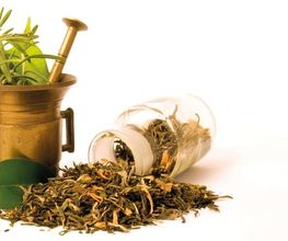 Römer-Apotheke Winterthur AG Bild 7