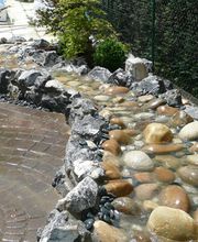 Cipolletta, Ciro Bild 1