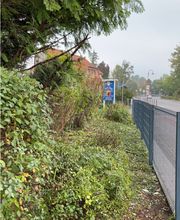 B.T. Gartenbau Bild 9