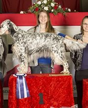Hundesalon Pet Cut's Bild 6