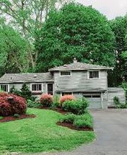 Fiorella Lawn & Landscaping image 13
