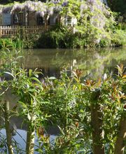 Le jardin de Saint Jean image 11