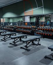 Basic-Fit imagen 2