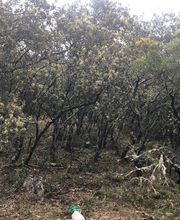 Elag'Art et Jardins image 2