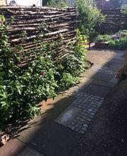 das Landleben Bild 10