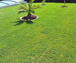 Bastidon Jardin image 10