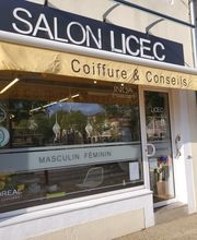 LICE C image 1