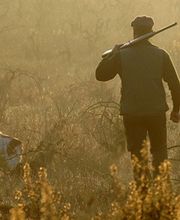 Domaine De Raboulet image 1