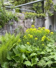 Schär & Stalder Gartenbau GmbH Bild 4