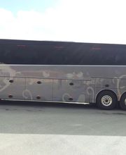 Sarl M. Lassale image 7