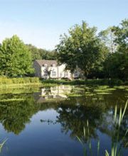 Hovenier Maasbree