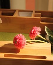 Frank Daniel Bild 16