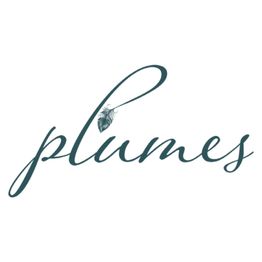 Plumes – Thérapeute émotions & hypersensibilité Toulouse