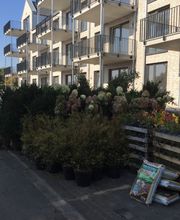 Hajo Rumpf Garten- und Landschaftsbau GmbH Bild 7