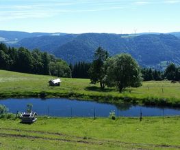 Ferienparadies Althäuslehof Bild 4
