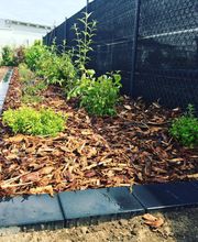 GDS Sven Hos Garten- und Dienstleistungsservice Bild 7