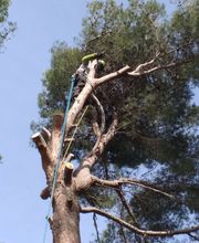 Evtp Jardins EURL image 19