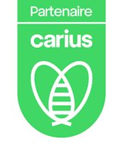 Ambulances DSA et Lion image 3