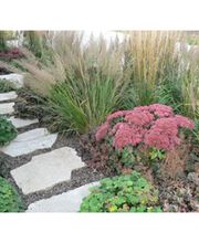 Rieger Gartengestaltung GmbH & Co. KG Bild 3
