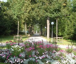 Grün Schaffhausen Bild 5