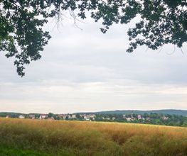 Ausblick vom FriedWald Waldenburg auf den gleichnamigen Ort.
