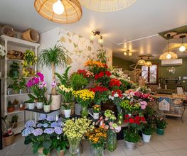 Les Fleurs de Cuers image 13