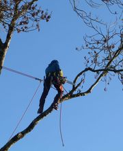 Gwezenn Elagage SARL image 7