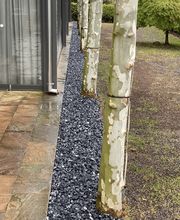 Lusogarten GmbH Bild 10