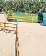 Jardins-soignés SA Bild 14