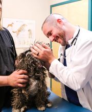 Indian Tree Animal Hospital image 3