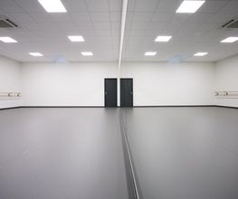 DKDanse image 5