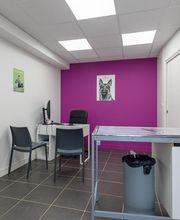 Clinique Vétérinaire Mon Véto Igoville image 11