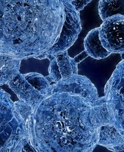 Laboratoire d'analyses Dr Luc Salamin SA Bild 4