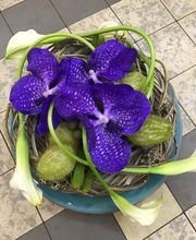 Floral Art's image 13