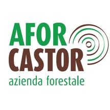 AFOR CASTOR Sagl