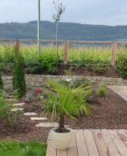 Stark im Garten Bild 34