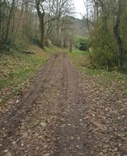 Pierre-Marie BOS Expertise image 11