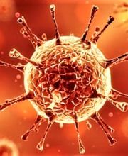 Ciel Nettoyage Sàrl Bild 1