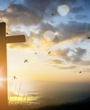 Bestattungen WERNER Bild 2