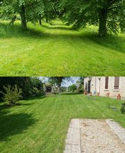 Ted Multiservices image 6