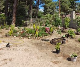 jardineria_segovia-5.jpg