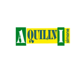 Ufficio ACI Castelnuovo - Aquilini Simone Autoscuole Assicurazioni Pratiche Auto logo