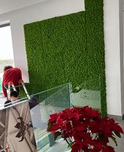 Gallery Cliente