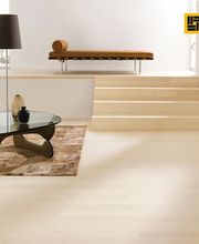 Frommer Parkett- & Fußbodentechnik - Parkett, Vinylbelag und Bodenbeläge Bild 11