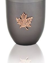 Wasserfallen SA Bild 4