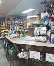 AmaitaVet Clínica Veterinaria imagen 20