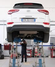 Gallery Professionale