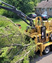 Whitledge Tree Service LLC image 6