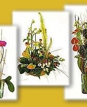 floristeriamariateresa-arreglosflorales.jpg