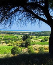 Union Coopérative Foncalieu image 2